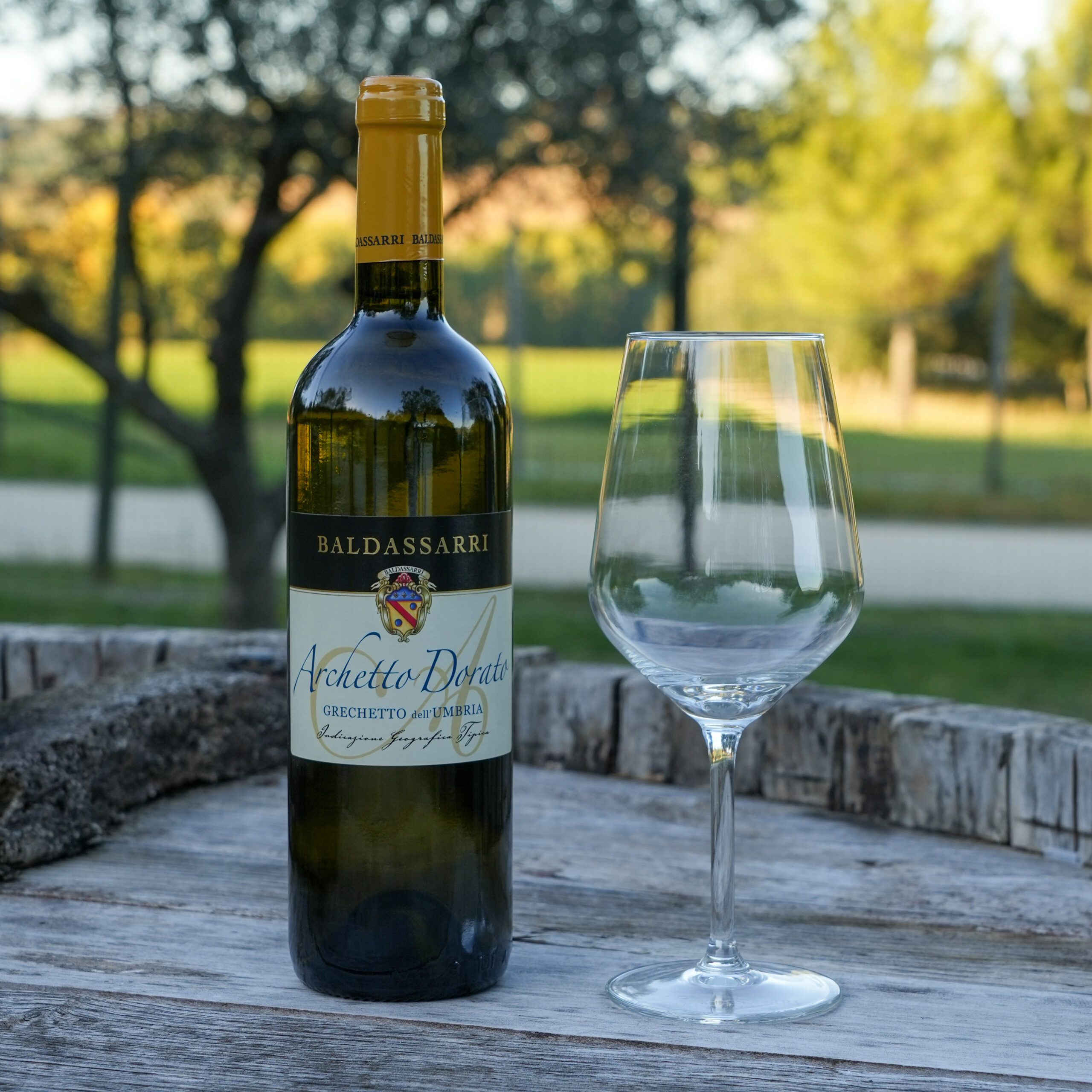 Bottiglia di Archetto Dorato, Grechetto dell'Umbria, tra i vigneti della Cantina Baldassarri